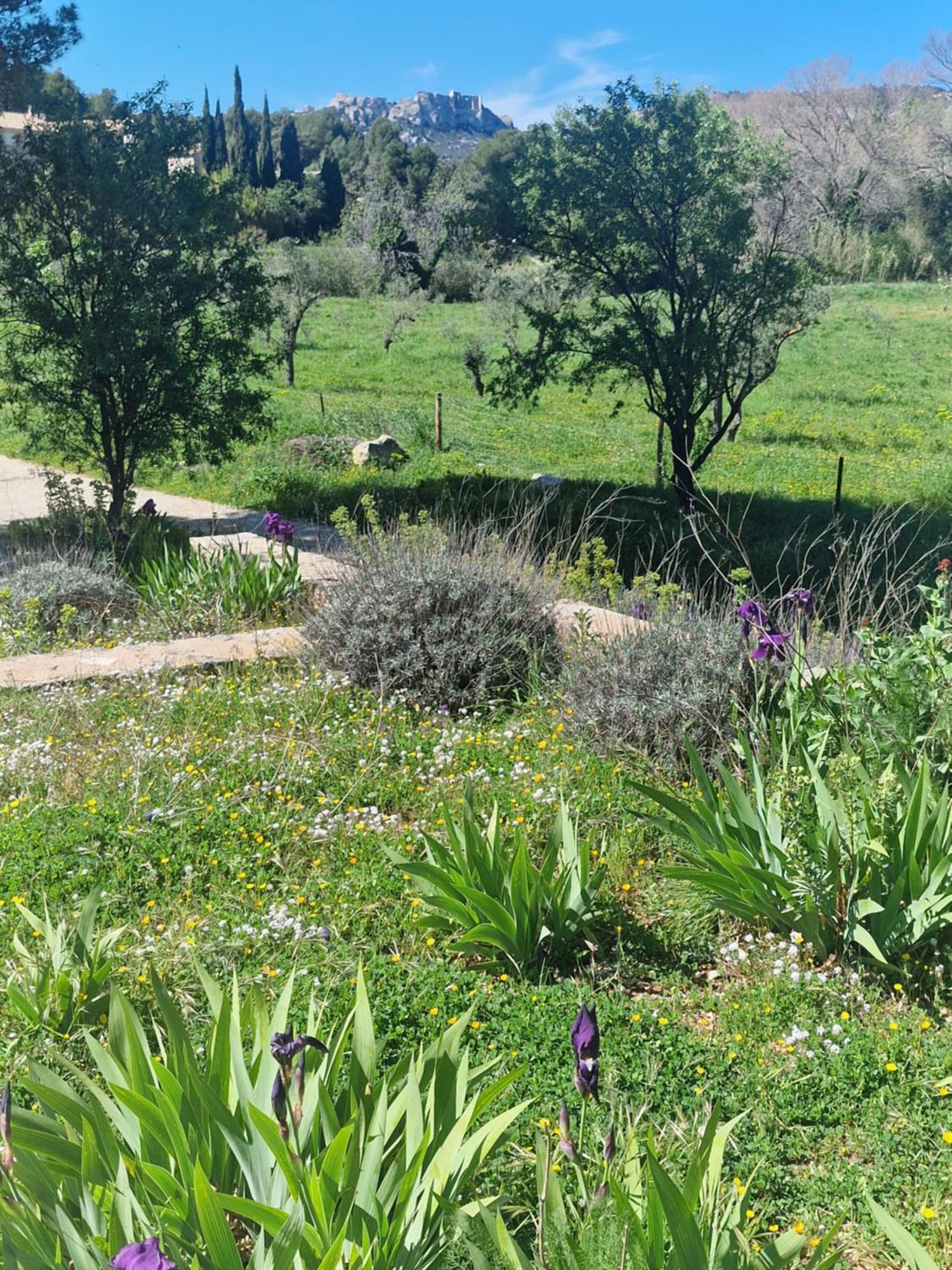 אפרטהוטל לה בו דה פרובנס Domaine Du Mas Foucray מראה חיצוני תמונה